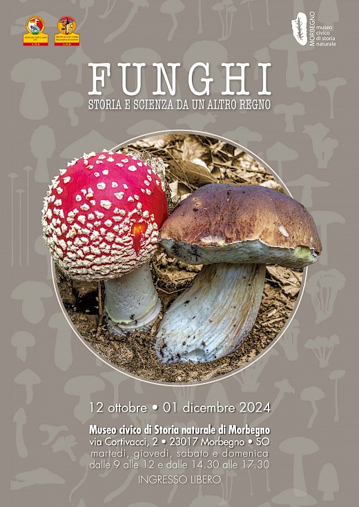 Funghi. Storia e scienza di un altro regno