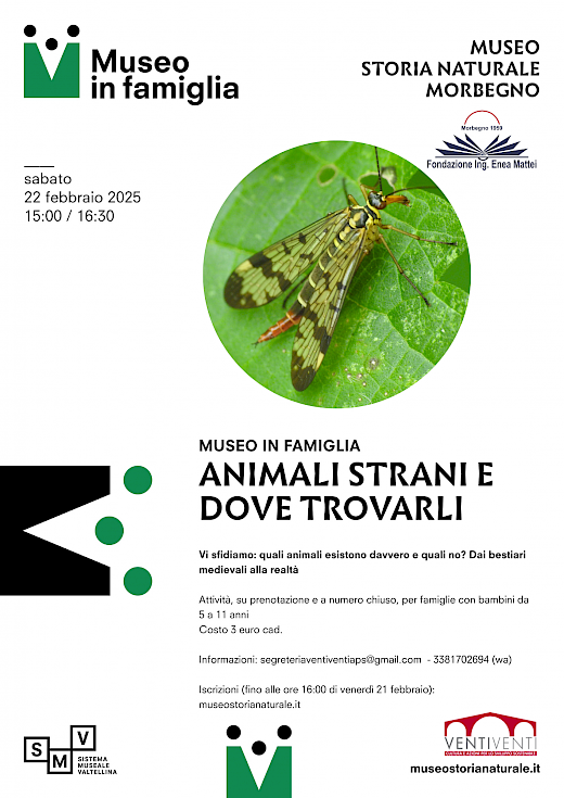 Animali strani e dove trovarli: